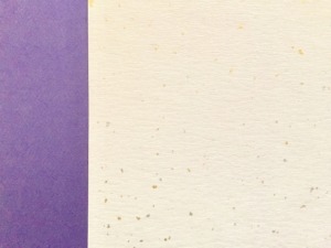 お食い初めのやり方を調べている若い夫婦 関西ではタコが常識らしい じ じ の 一歩