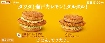 瀬戸内産ごはんチキンタッタ