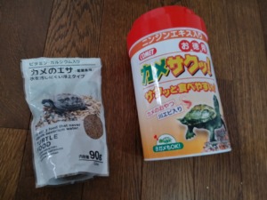 カメが餌を食べないのはなぜ 砂利が原因のことも クサガメ飼育記 じ じ の 一歩