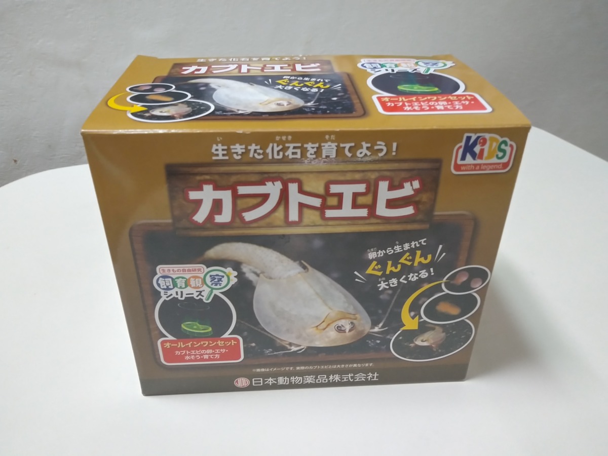 冷酷な 愛国的な テーマ カブトエビ キット Maruthigroup Net