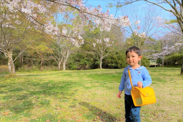 桜の花と新幼稚園生