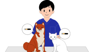 獣医師とマイクロチップを装着した犬猫のイラスト